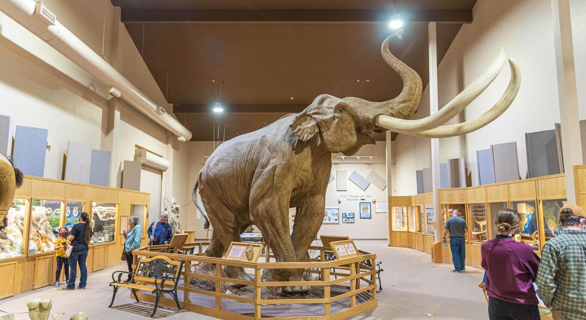 look inside the museum at the mammoth site of hot springs south dakota