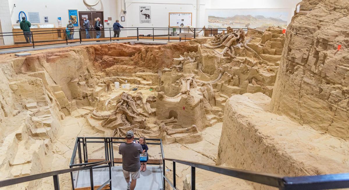 inside the active dig pit at the mammoth site of hot springs