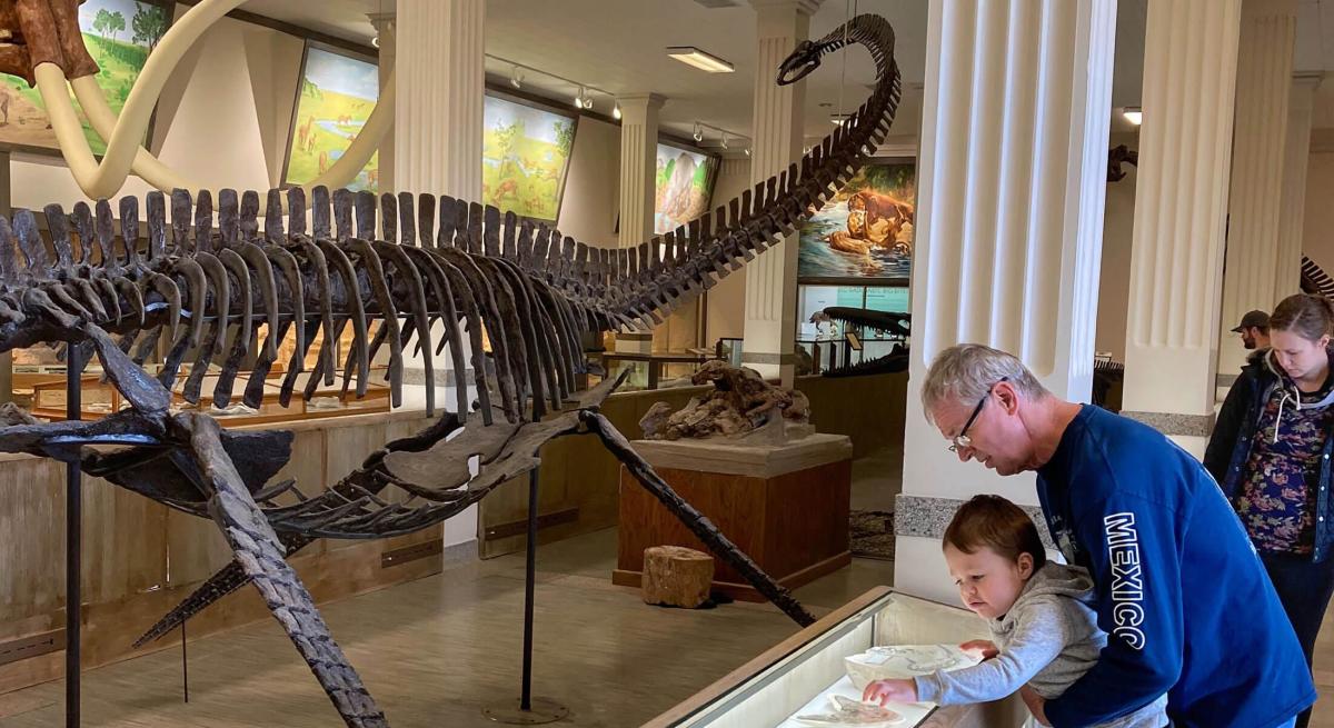 Visitors viewing the displays at the museum of geology in rapid city, sd