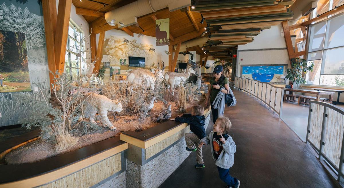 Family touring the indoor exhibits of wildlife found at Outdoor Campus West in Rapid City, SD