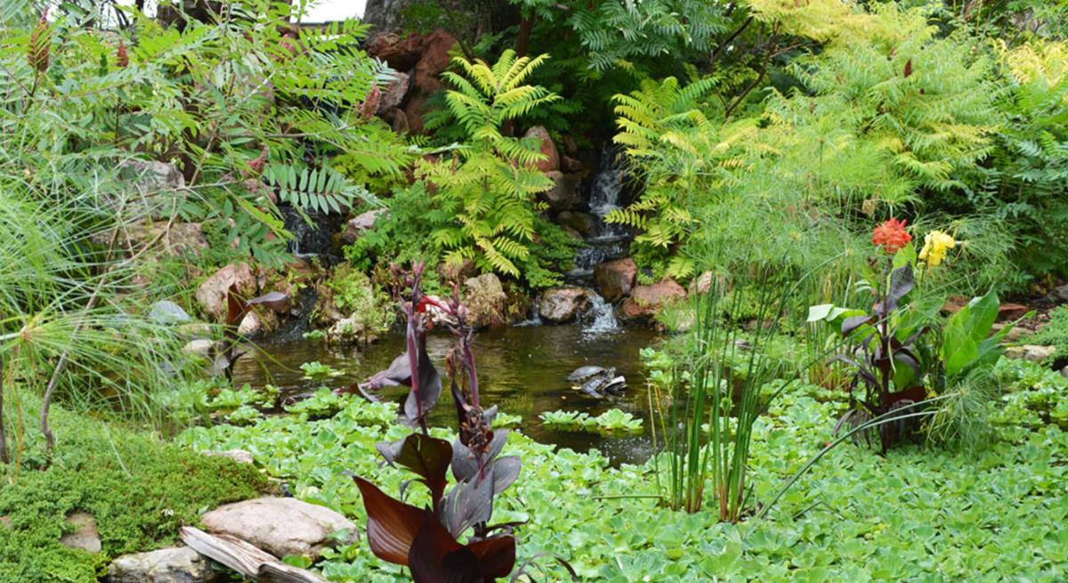 Greenery and flowers of Tortuga Falls at Reptile Gardens in Rapid City, SD