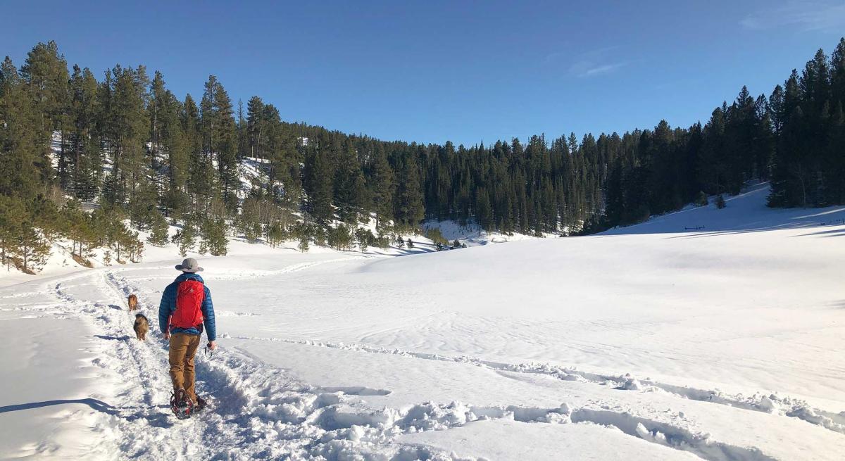 snowshoeing trail in the black hills of south dakota