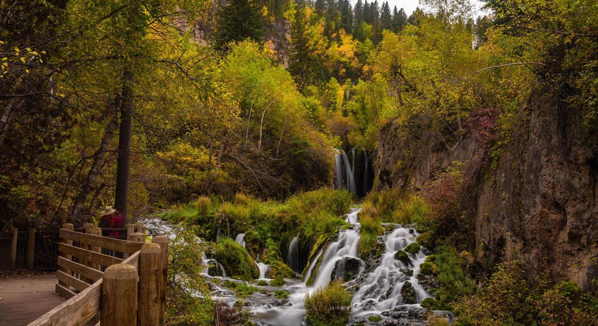 Fall colors at roughlock falls in spearfish canyon
