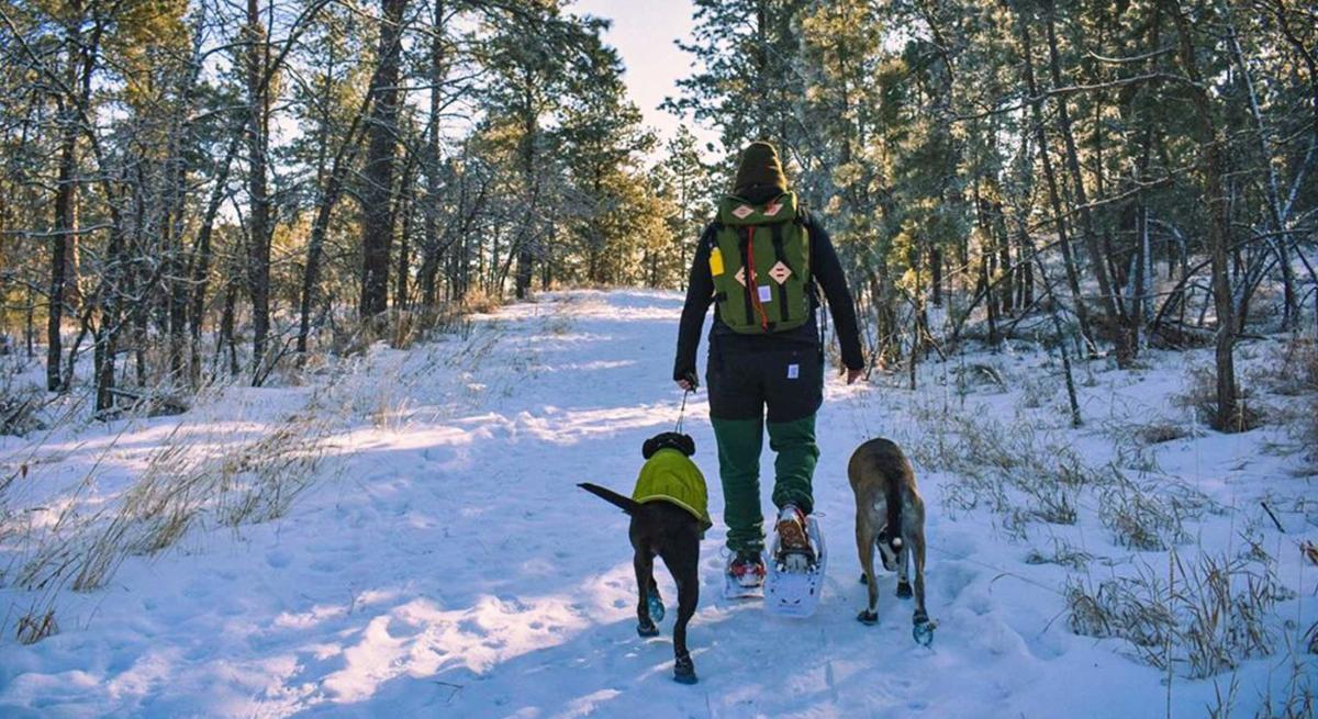 Hiker and dogs exploring trails in the black hills with snow