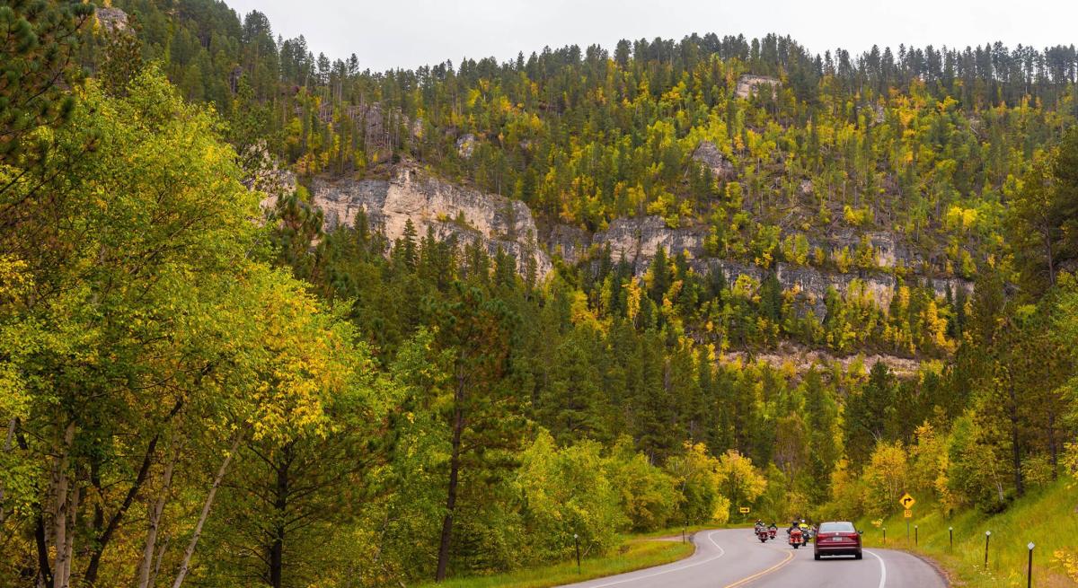 Driving through the fall colors in Spearfish Canyon