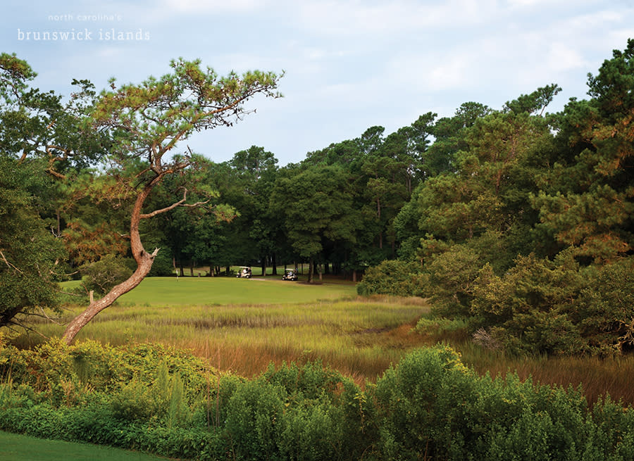 a golf course green visible across marsh with two golf carts on the path