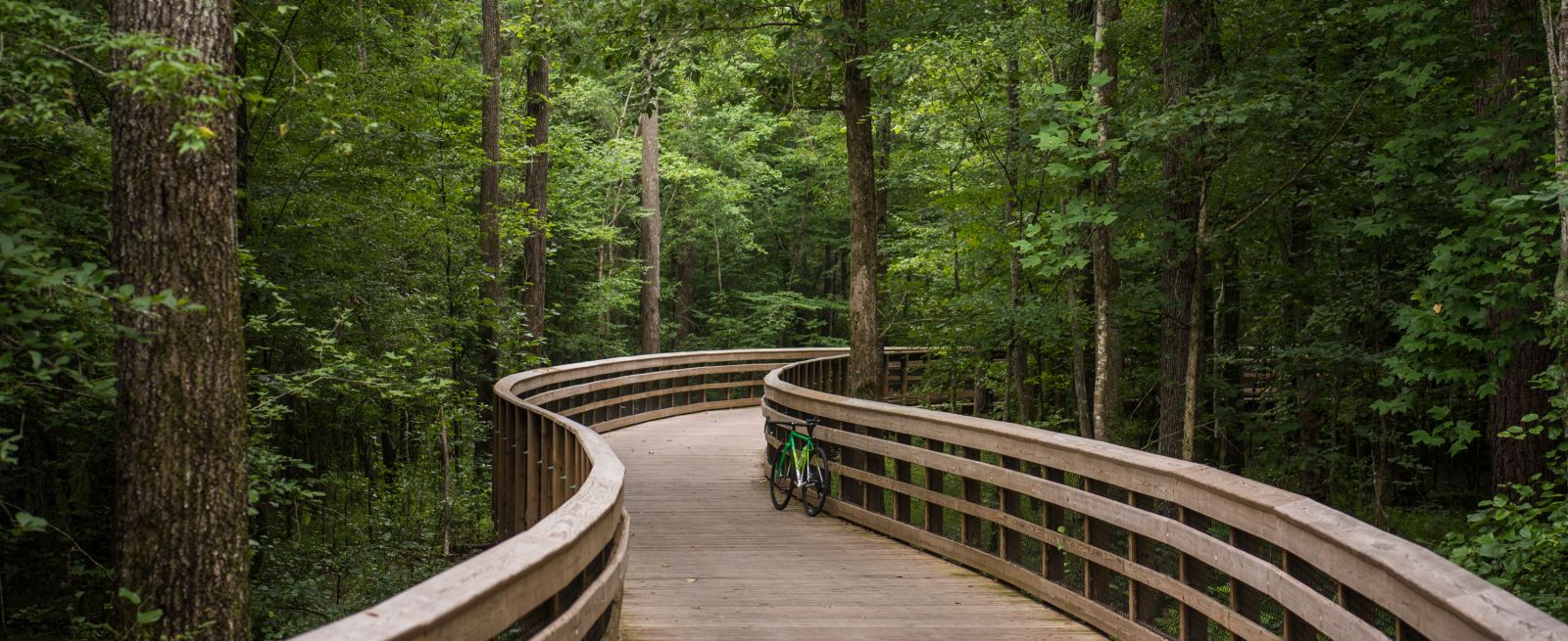 East Coast Greenway Header