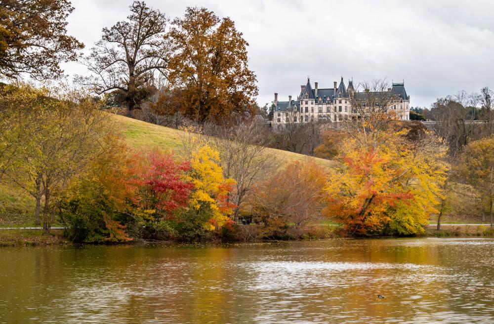 2018 Fall Color Biltmore November 1