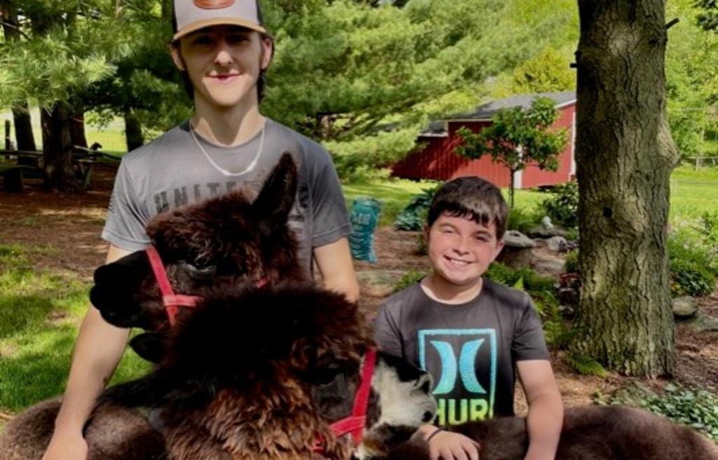 Boy with alpacas