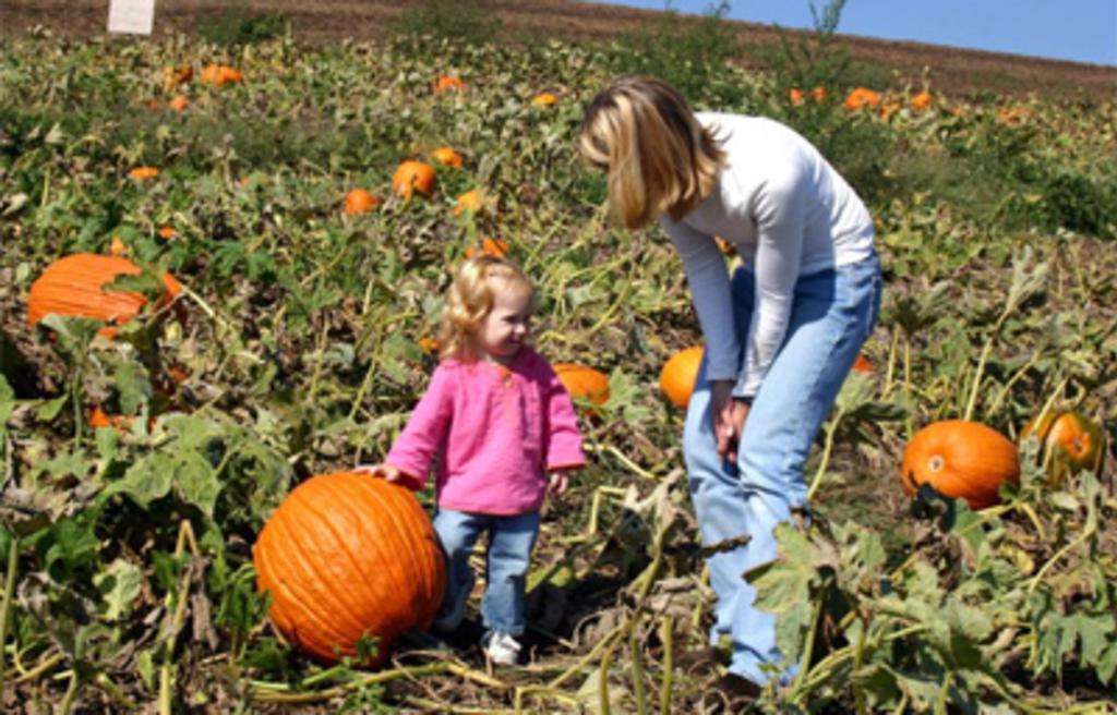 Cherry Crest Adventure Farm