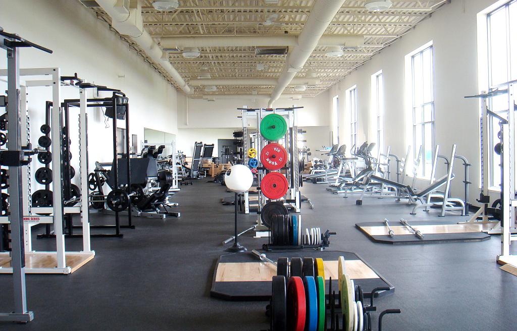 York Barbell Company weights
