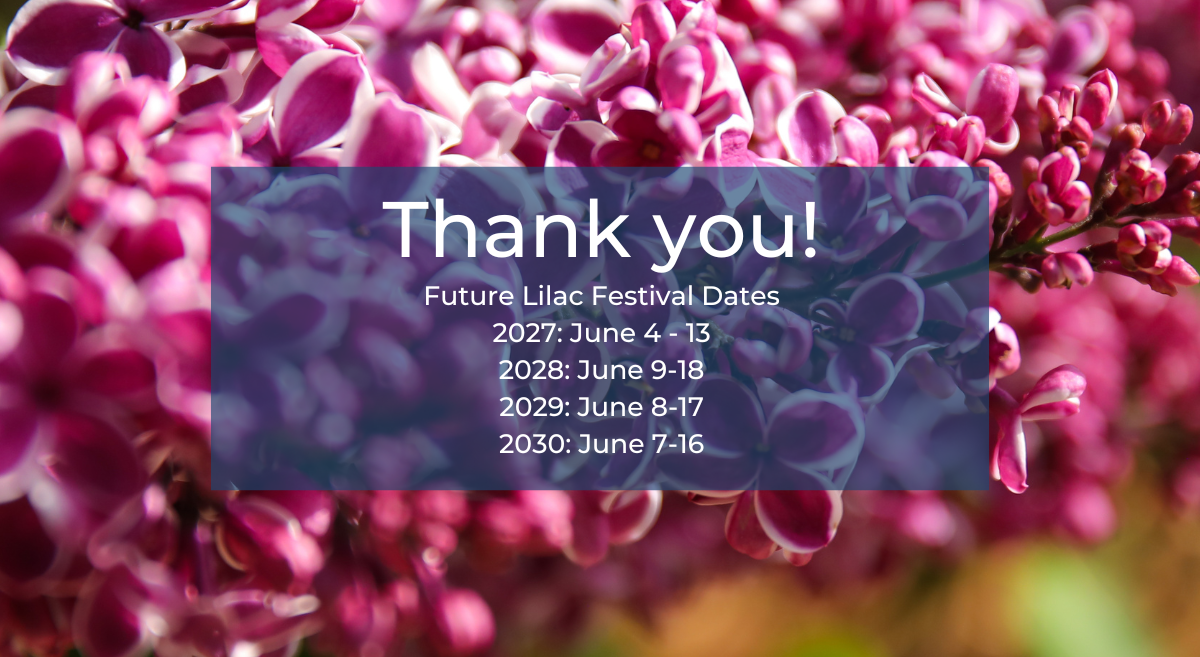 Lilac Festival 2027
