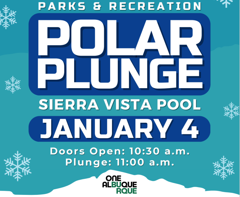 Graphic advertising the Polar Plunge.