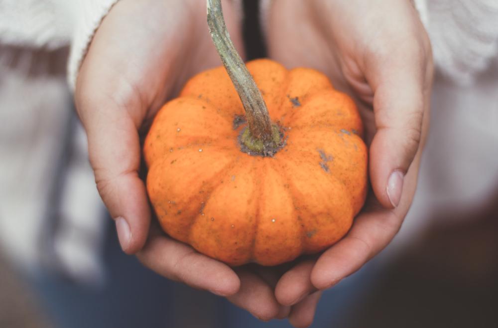 Woman-holding-pumpkin-in-her-hands-during-pumpkin-season