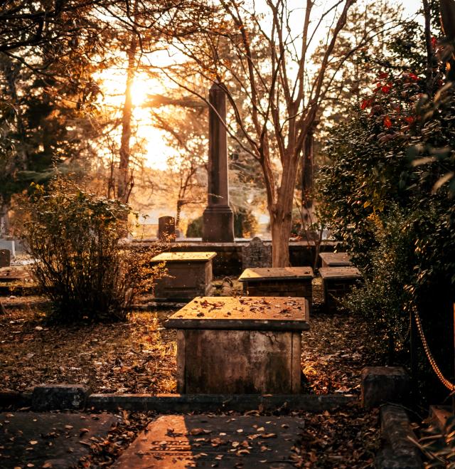 Memory Hill Cemetery fall