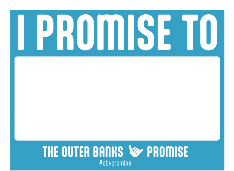 i promise to...