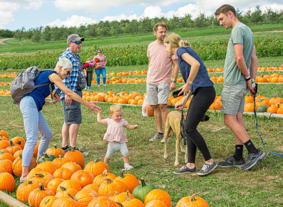 Simmons Farm