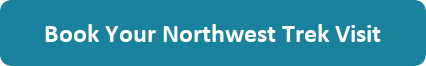 Book Your Northwest Trek Visit Button