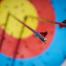Finger Lakes Adventure Center Archery