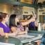 Heron Hill Winery