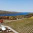 Living Roots Wine & Company