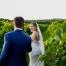 bride and groom-vineyards