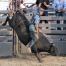 Reese Ranch Rodeo