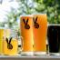 Luck Hare Brewing glasses