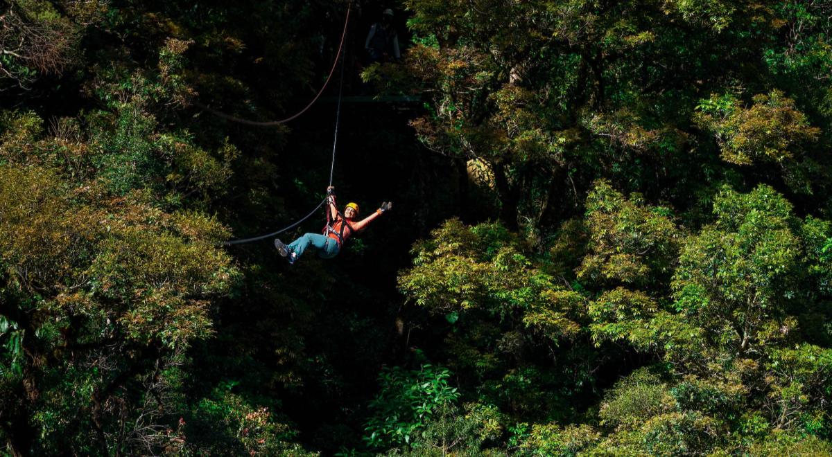 Zipline