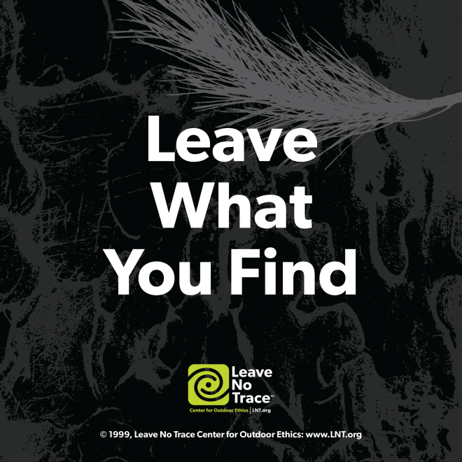 Leave No Trace - Leave What You Find