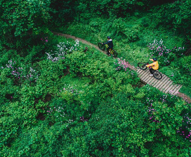 man and woman cycling on trail