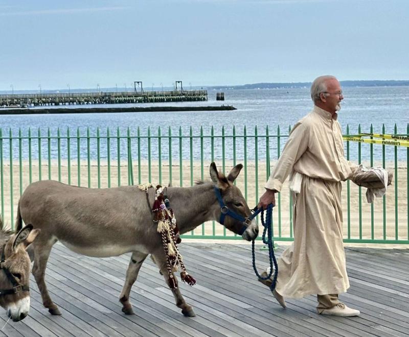 Camel on Rye Boardwalk - Marty Supreme