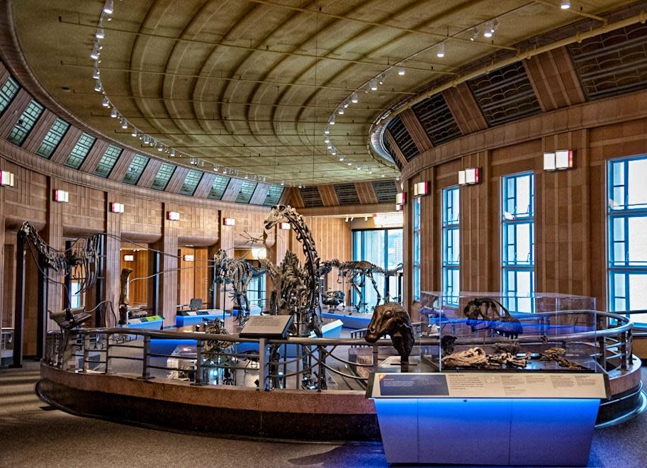 Dinosaur Hall at Cincinnati Museum Center (photo: Abby Erwin)