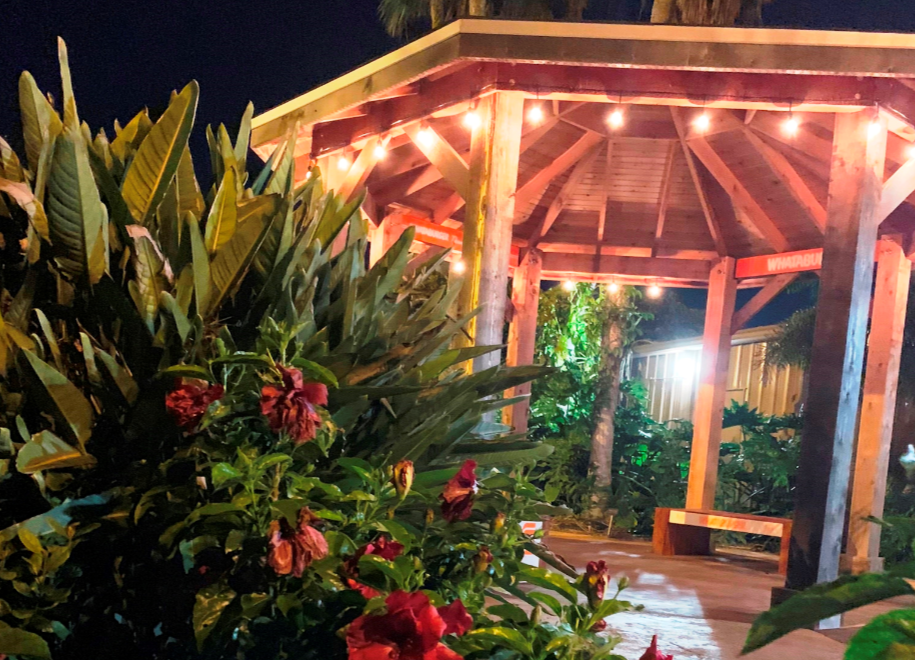 A covered pavilion serves as the backdrop for plants at the South Texas Botanical Gardens