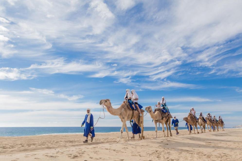 Paseo en Camello en Los Cabos