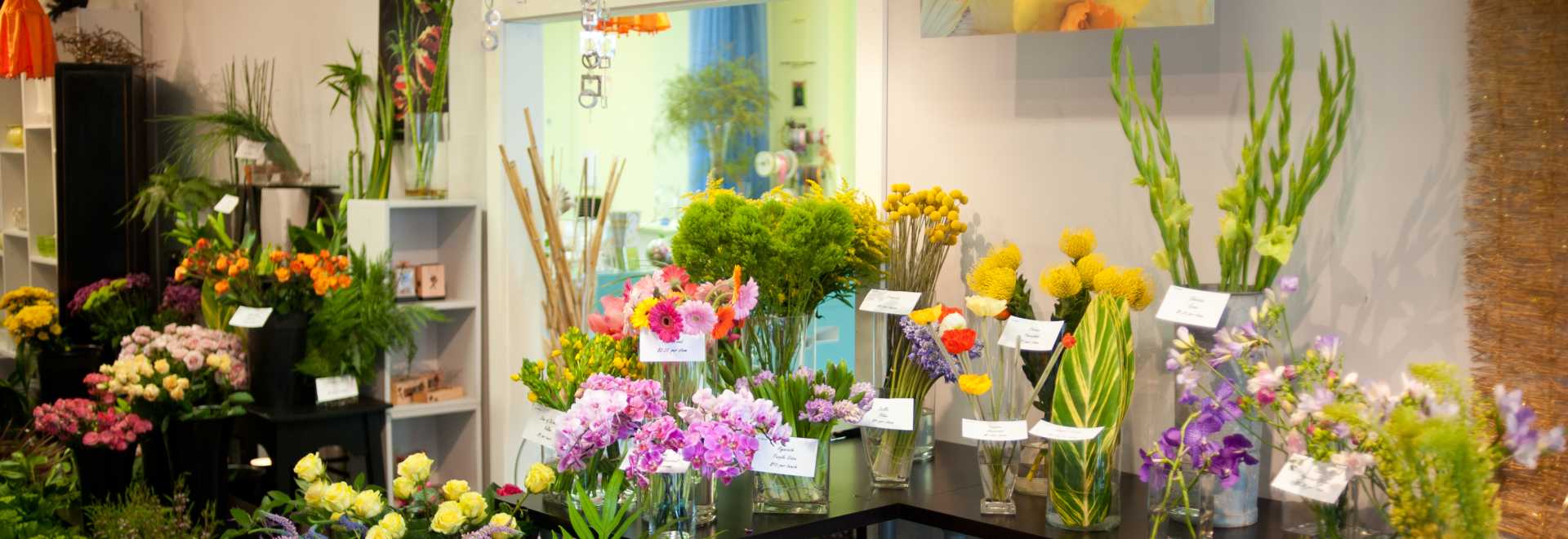 Flowers Near Frederick Md Best Flower Site