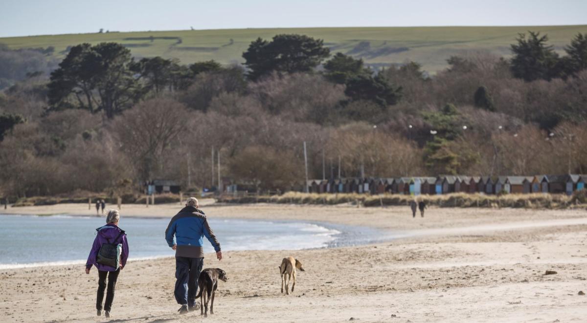 Studland Bay in Autumn