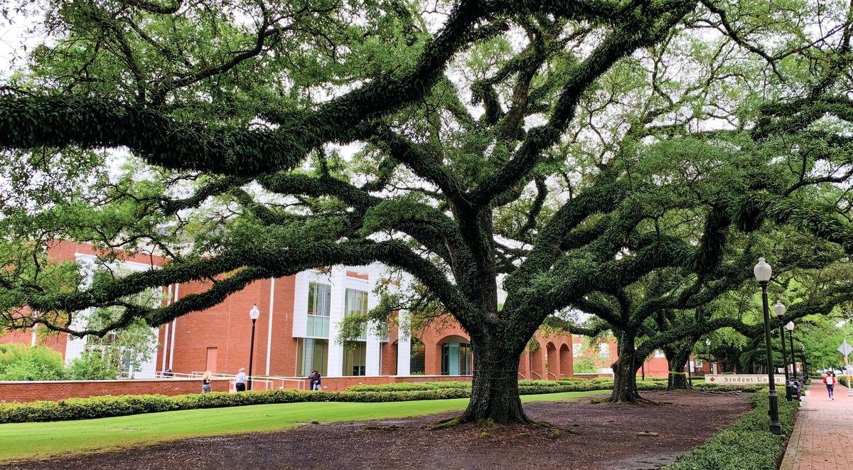 UL Student Union - Front