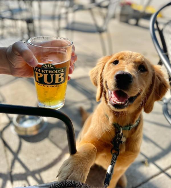 Dog at Courthouse Pub with beer on patio
