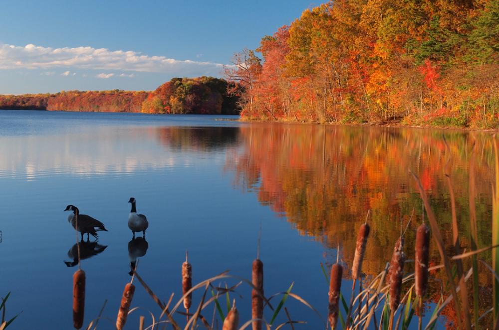Burke Lake Park