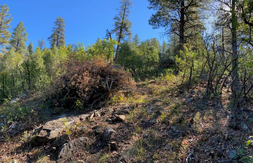 Fire Mitigation Slash Pile
