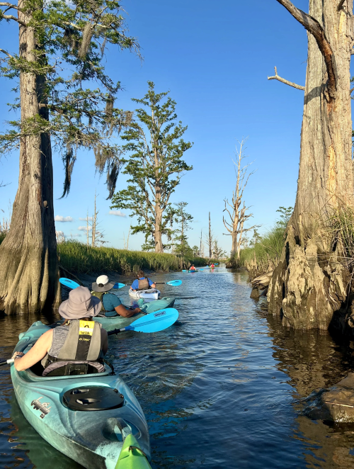 Kayakers in the canal dug out by enslaved Africans