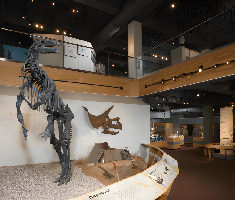 A photo of a dinosaur skeleton on display in the Wyoming State Museum. The skeleton is of a large, carnivorous dinosaur, and it is mounted in a standing position. The skeleton is surrounded by informational exhibits about dinosaurs.