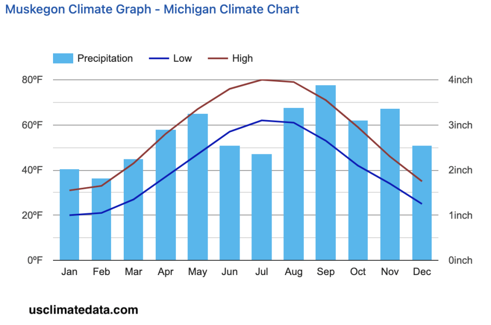 michigan annual snowfall