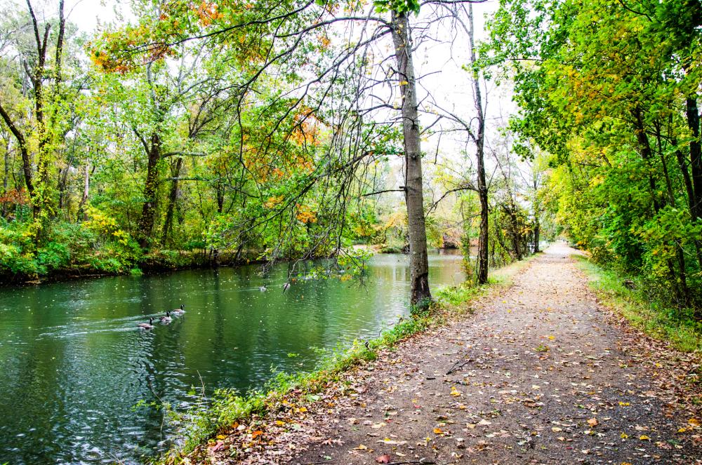 A view along the canal at D&R towpath