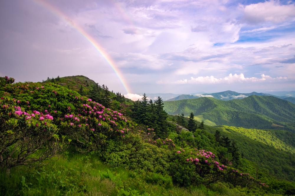 Grassy Ridge Bald at Roan Highlands