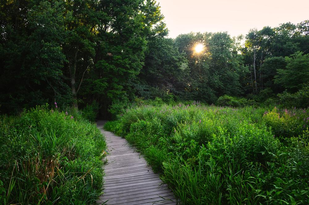 Silver Lake Nature Center Trail