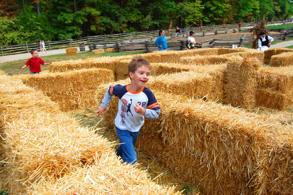 Straw Maze Mount Vernon