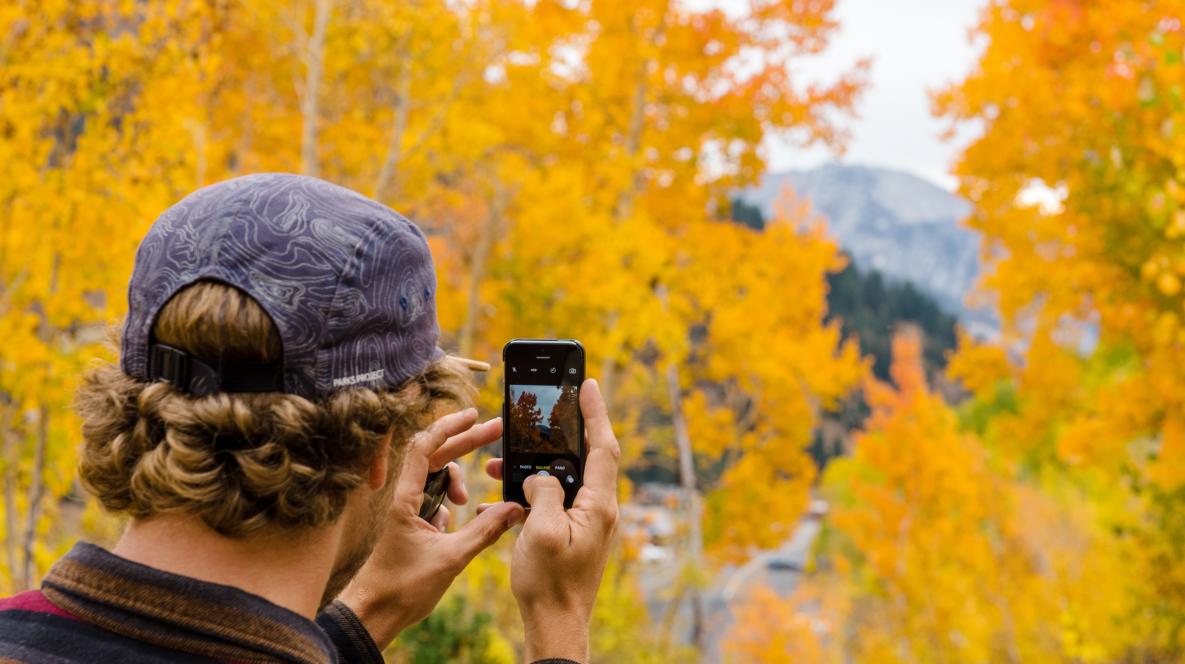 Man Taking Photo of Fall Trees in Little Cottonwood Canyon