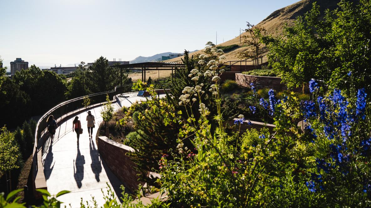 Couple Walking On Sunny Path At Red Butte Gardens